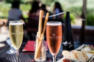 坚韧顽强，女足比赛斗志昂扬