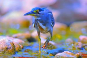 鲁能主场-击败武汉卓尔，豪取三分