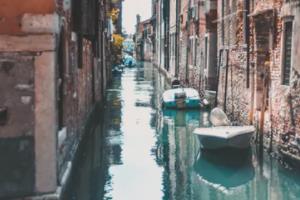 明星队友同场竞技，决胜场景引发全场欢呼