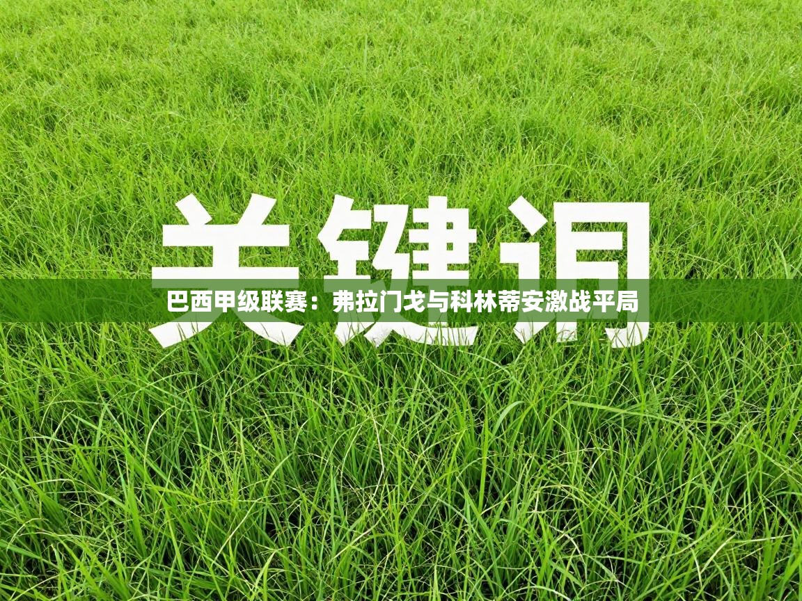 巴西甲级联赛：弗拉门戈与科林蒂安激战平局  第2张