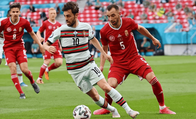 冰岛队不敌对手，欧洲杯资格前途堪忧的简单介绍