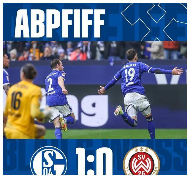 沙尔克在德国足球联赛中获得了胜利