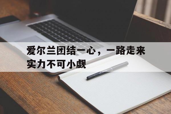 爱尔兰团结一心，一路走来实力不可小觑的简单介绍